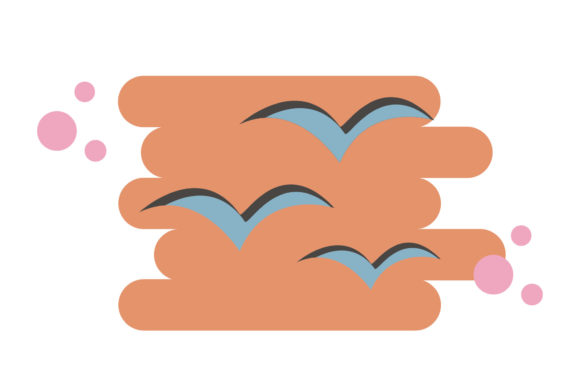 Download Summer Design Bird Beach - Premium Resources